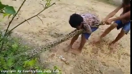 Children who like to catch snakes any how