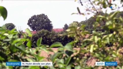 Biodiversité : Nicolas Hulot dévoile son plan