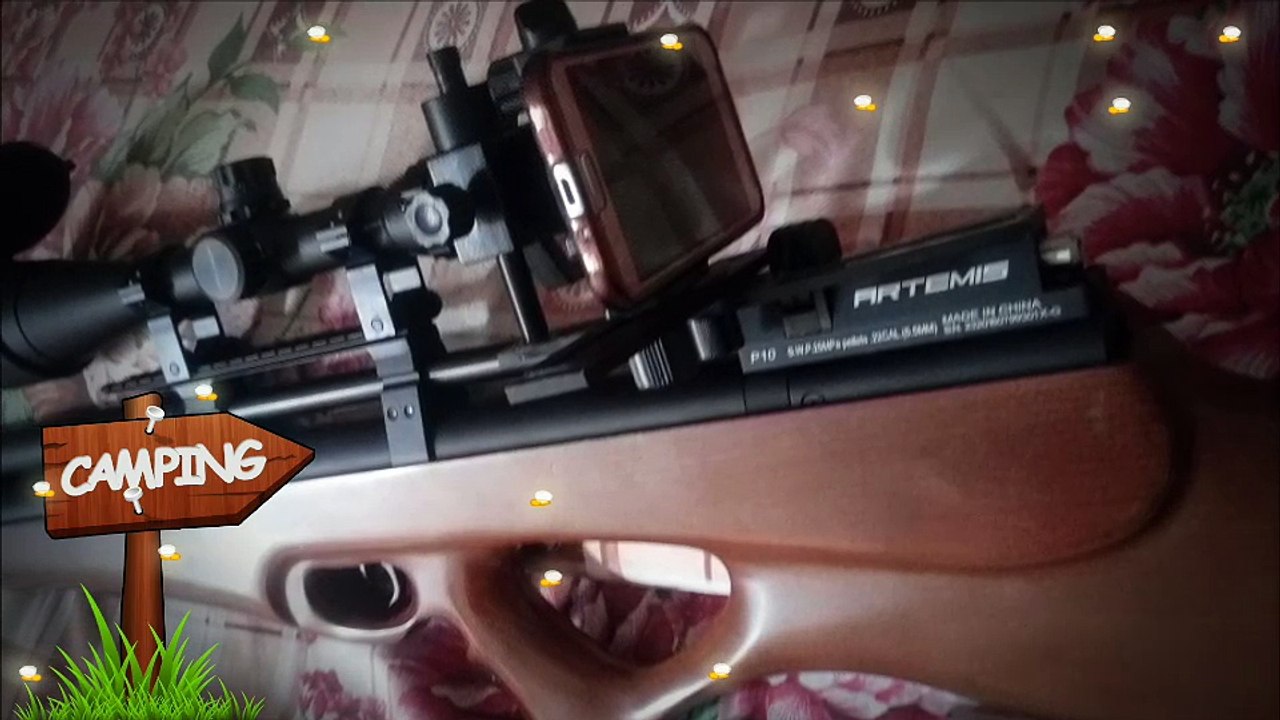 pcp rat shhoting
