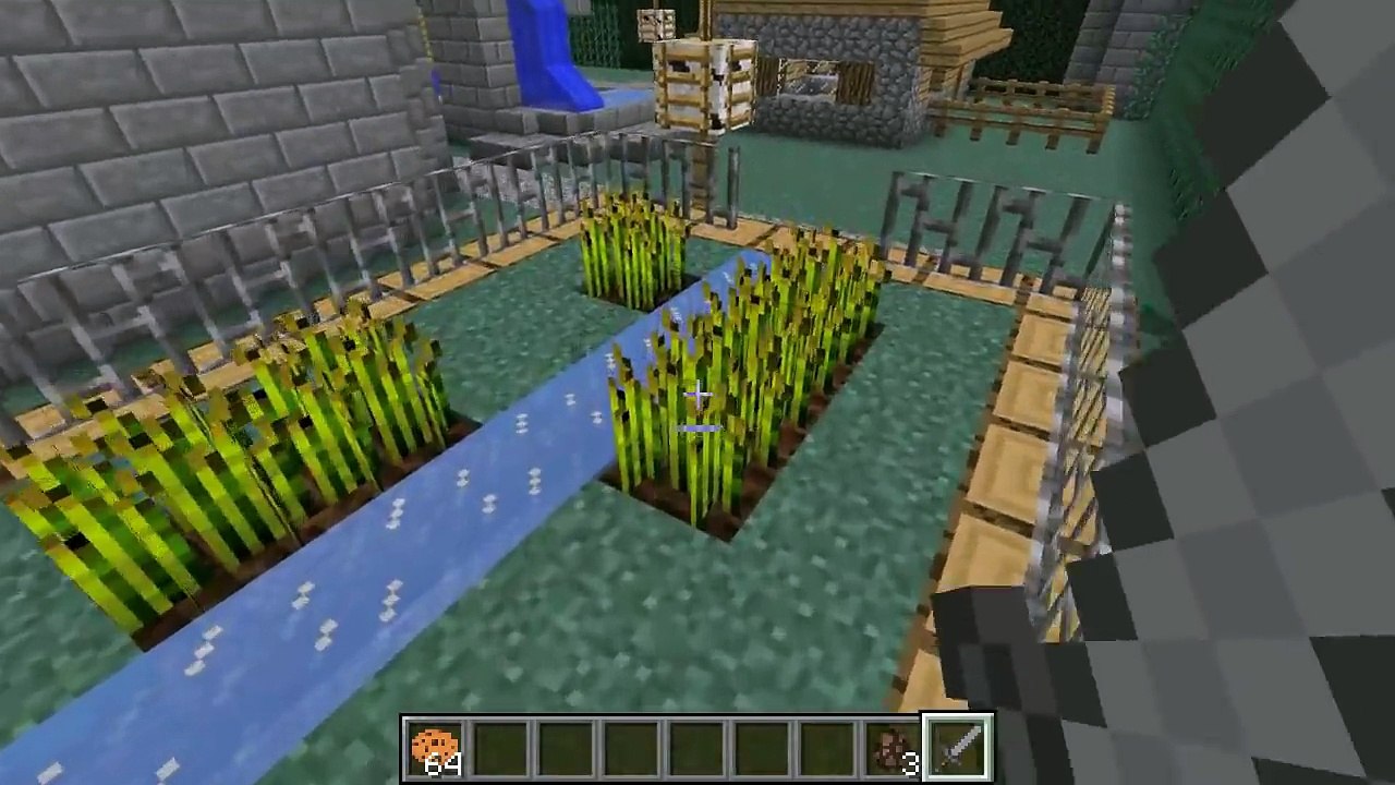 Minecraft: TINY FROGS HIDE AND SEEK!! - Morph Hide And Seek - Modded Mini-Game