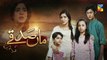 Maa Sadqey Epi 117 HUM TV Drama 4 July 2018