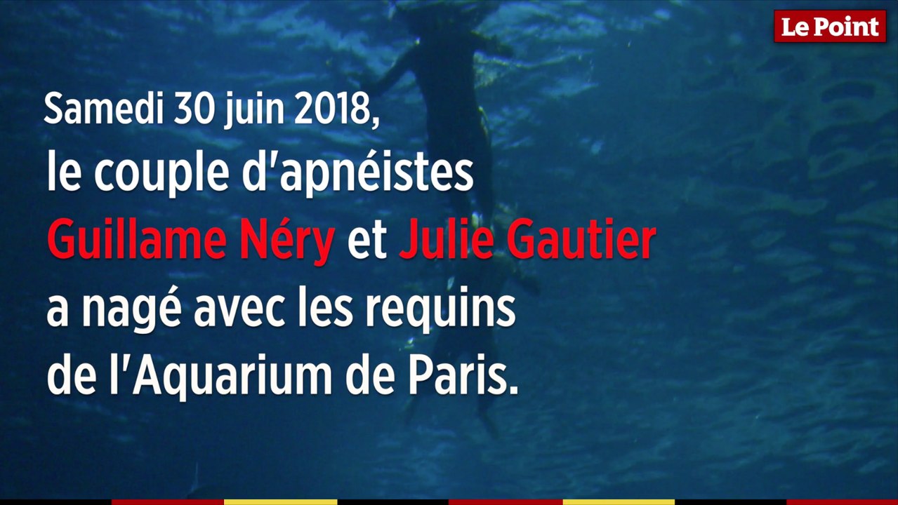 Guillaume Néry et Julie Gautier dansent avec les requins