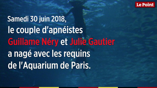 Guillaume Néry et Julie Gautier dansent avec les requins