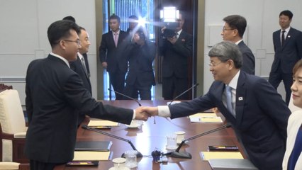 남북, 접경지역서 병해충 공동 방제 합의 / YTN