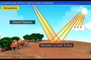 (6)CBSE Class 12 Biology, Environmental Issues – 6, Greenhouse Effect And Global Warming