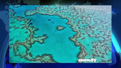 The Beaverton s01e1.flv