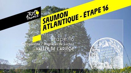 Étape 16 : Réintroduction du Saumon Atlantique Fédération de pèche de l'Ariège