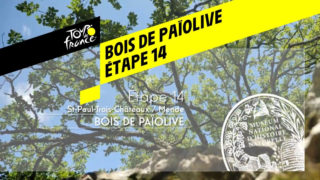 Étape 14 : Bois de Païolive