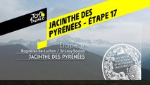 Étape 17 : Jacinthe des Pyrénées - Conservatoire botanique national des Pyrénées et Midi-Pyrénées