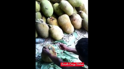 ചക്കയിൽ മരുന്ന് കുത്തി വയ്ക്കുന്നത് നോക്കൂ.. മാക്സിമം ഷെയർ ചെയ്യൂ