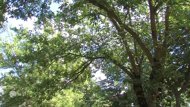 A LA UNE/ La Touraine destination vacances - 04/07/2018