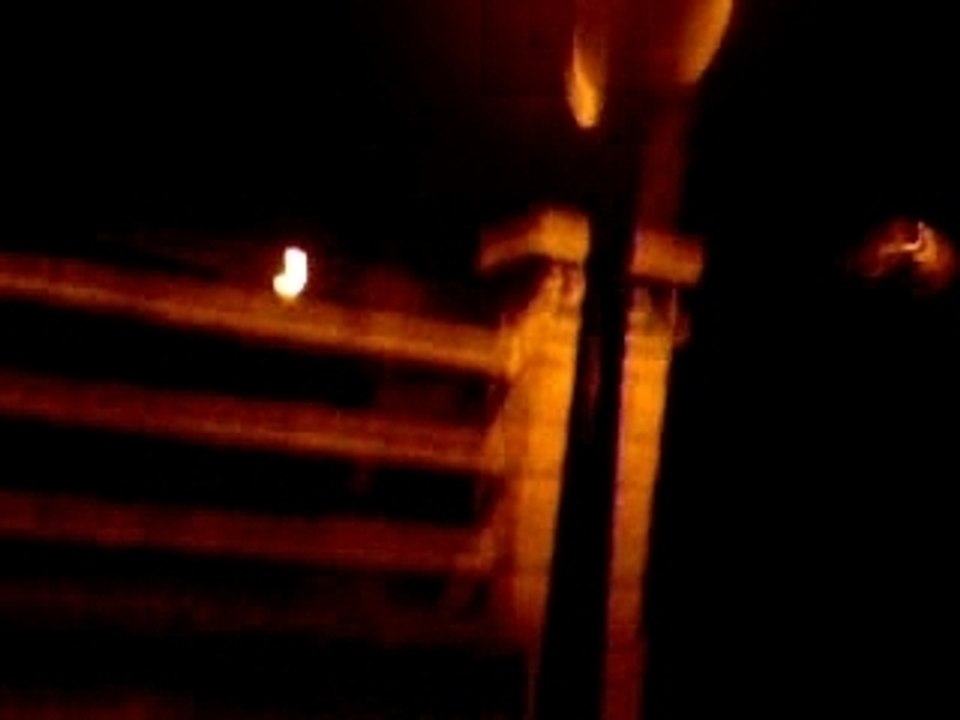 La chasse aux araignées