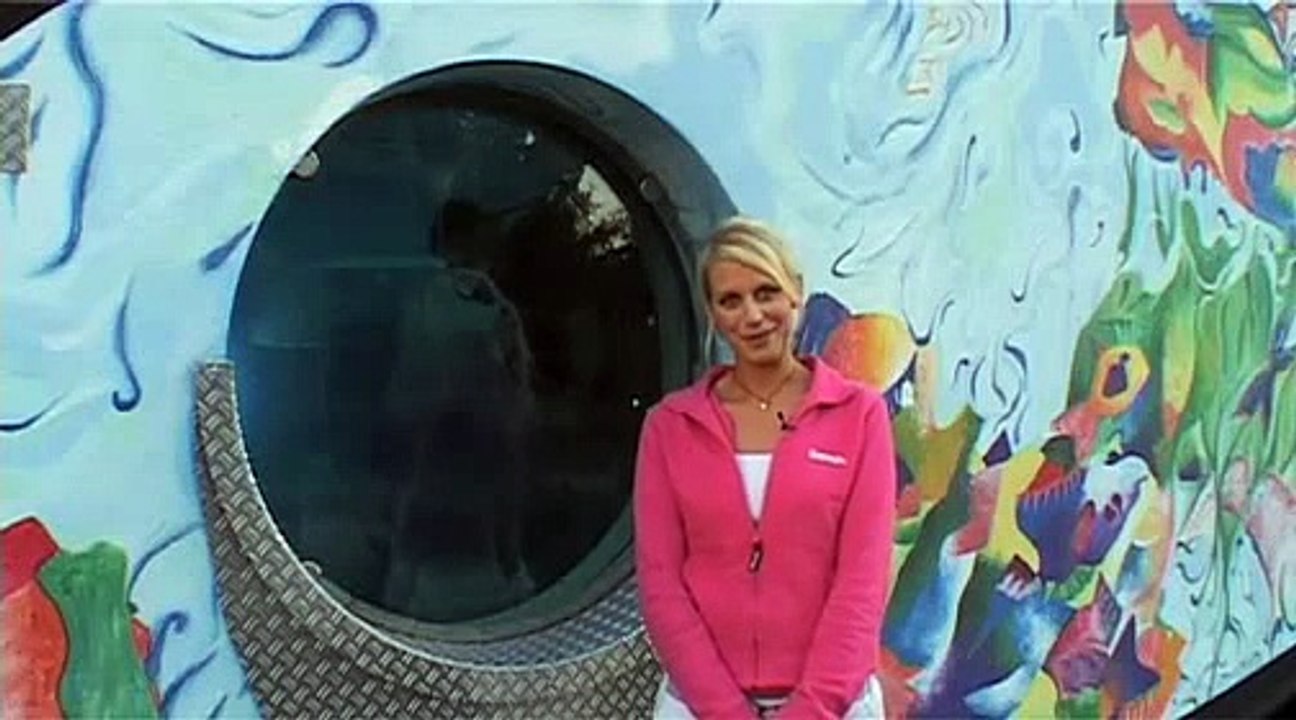 bonnavista tv Blog Archive Indoor Tauchen