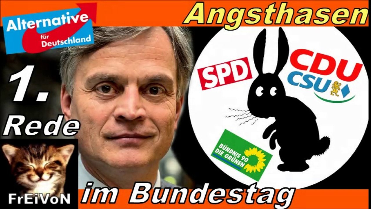 AfD * Historisch: ERSTE REDE im Bundestag * Angst der Altparteien * 2017 * Dr. B. Baumann