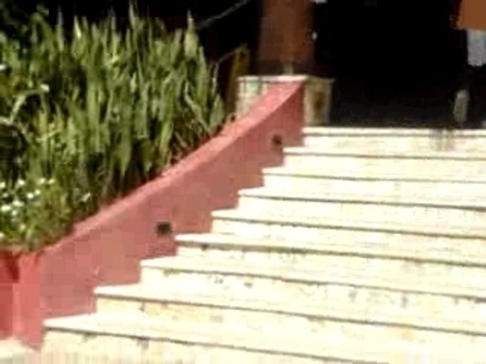 Défilé Thanksgiving Punta Cana