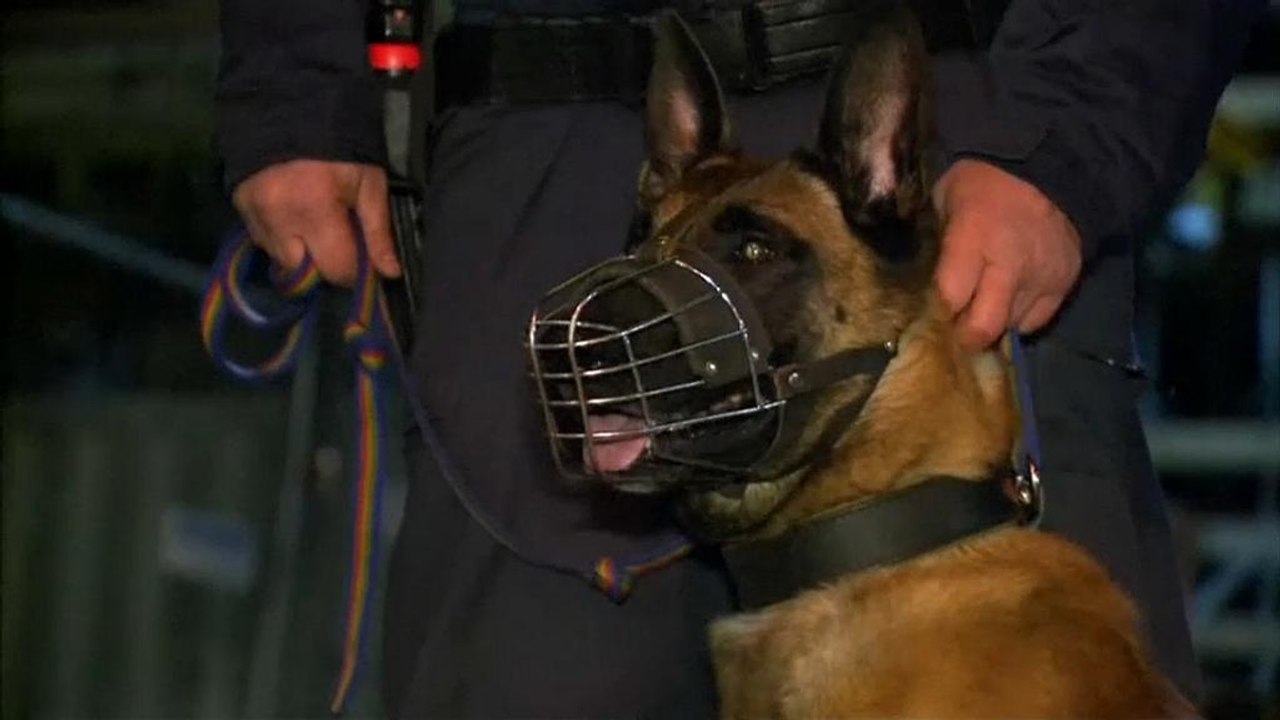 'Achse der Willigen' bricht: Wien und Rom blocken ab