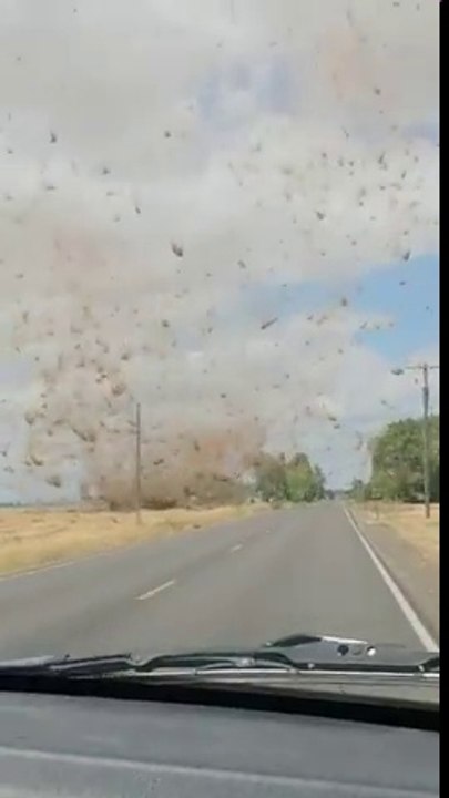 Ils filment une impressionnante tornade de poussière sur une route de l'oregon