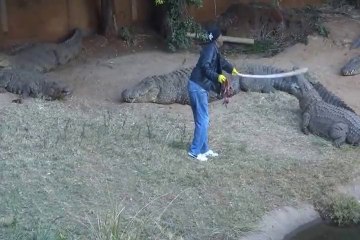 Voici le "sanctuaire des crocodiles" en Afrique du sud.