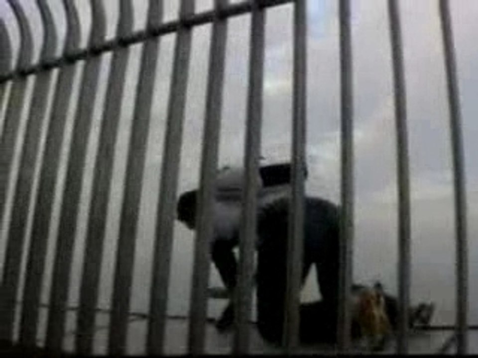 Saut base jump tour taipei 101 video complète !