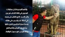 لأصحاب القلوب القوية .. فيديو لحظة افتراس اسد لمدربه في مصر حتى الموت امام الجمهور !!!
