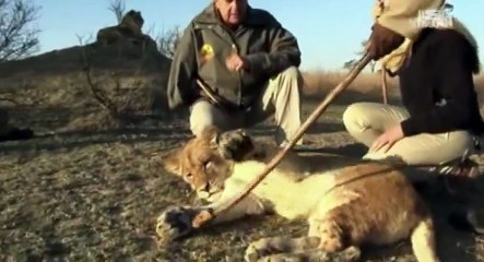 Karina Wild on Safari S01  E11