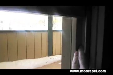 How to measure for a Sash Window Pet Door