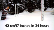 Timelapse of snow storm 42cm/17