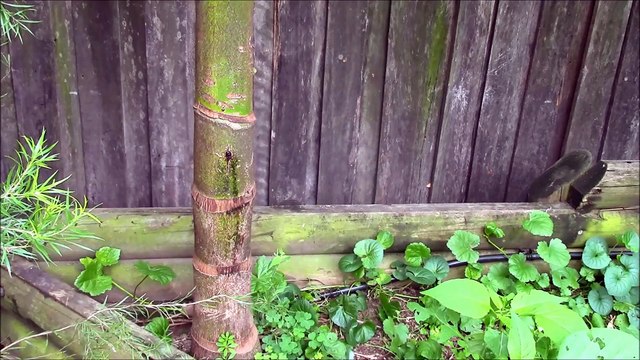 How To Make A Metal Throwing Star With NO TOOLS !!