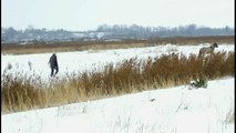 wild horses galloping in the snow.avi