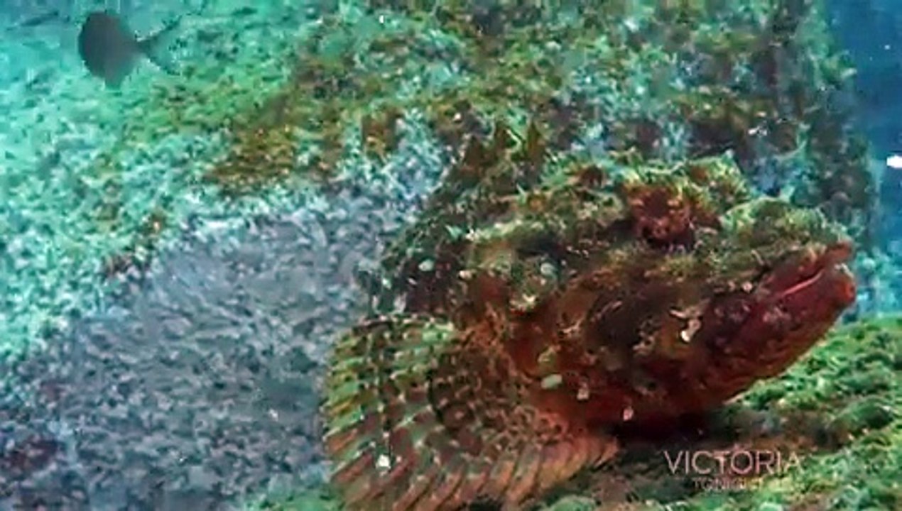 Our Big Blue Backyard - S02E02