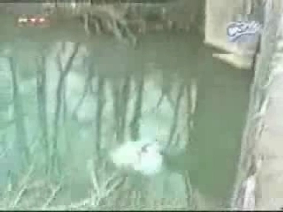 les JO c'est bientot