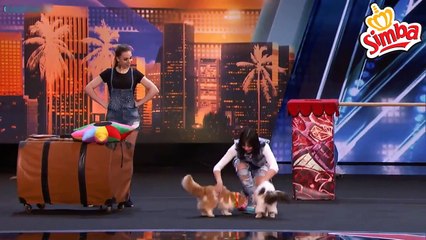 عرض مذهل للقطط خرافي في برنامج المواهب الامريكي 2018 مترجم