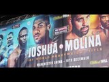 Anthony Joshua VS Eric Molina - HIGHLIGHTS