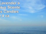 Luna Candle Co Sit Back Relax  Lavender and Eucalyptus Scented Luxurious Candles  11 Oz