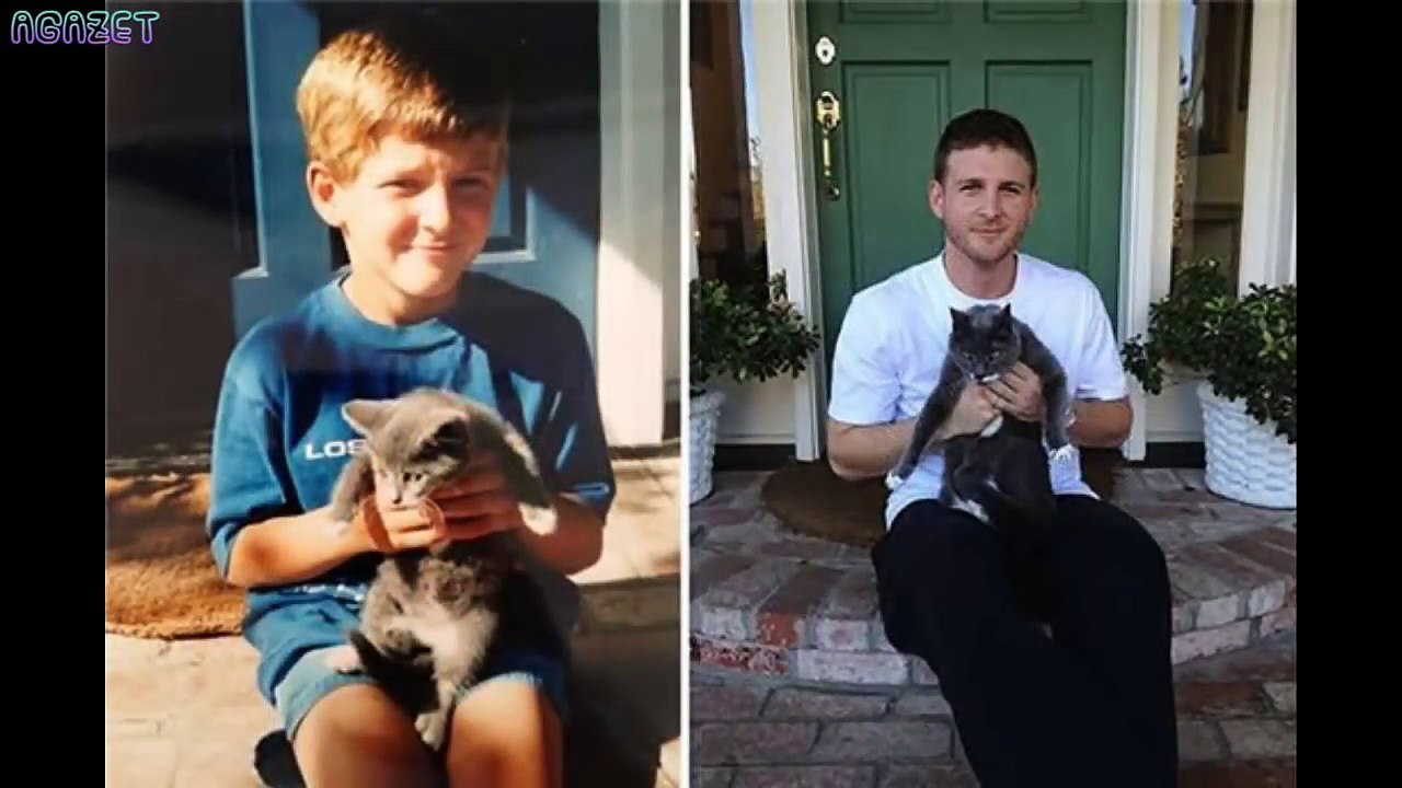 The mature image of cats