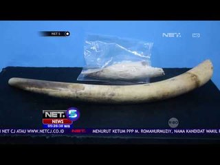 Polisi Tangkap 2 Orang Pelaku Pembunuhan Satwa - NET5