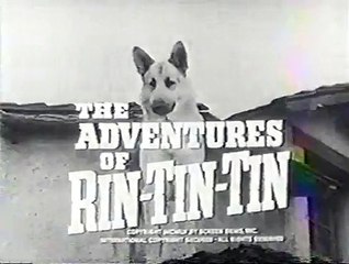 The Adventures of Rin Tin Tin @ 143 The Foot Soldier