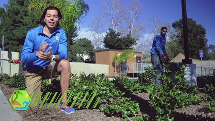 3 Reason Why You Should Mulch Your Garden