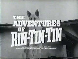 The Adventures of Rin Tin Tin @ 75 Sorrowful Joe