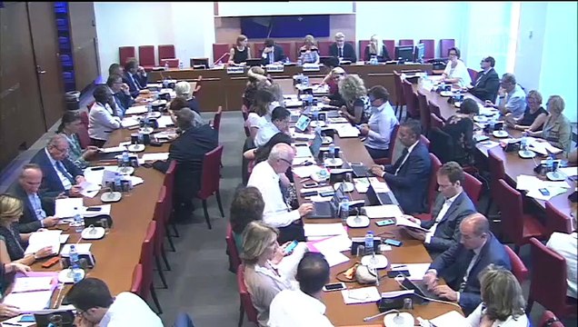 Commission des affaires sociales : Audition de M. Antoine Dulin, rapporteur de l’avis du Conseil économique, social et environnemental (CESE) - Mercredi 4 juillet 2018