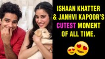 Janhvi Kapoor Gives A PUPPY To Ishaan Khatter FINALLY | Dhadak Movie | Dhadak Promotions