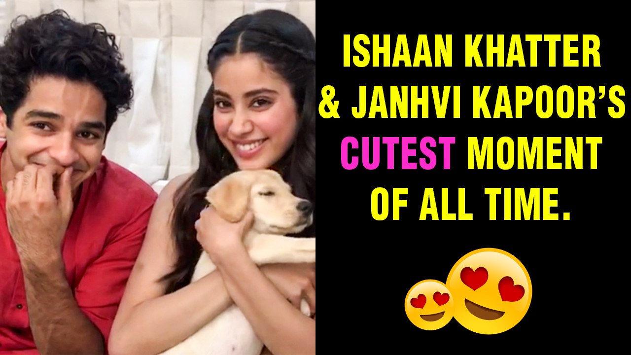 Janhvi Kapoor Gives A PUPPY To Ishaan Khatter FINALLY | Dhadak Movie | Dhadak Promotions