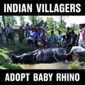 indian villagers adopt baby RHINO