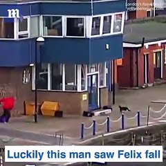 Man save cat from drowning