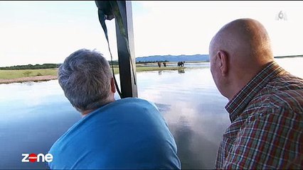 Forte émotion chez des français en plein safari qui vivent un moment unique devant un couple d'éléphants