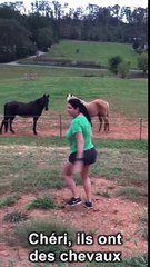 Il ne dit pas à sa femme que la clôture est électrifiée (Tennessee)