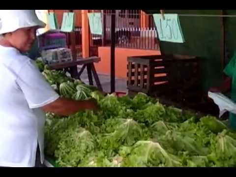 Preço das verduras, legumes e frutas - Rede TVT