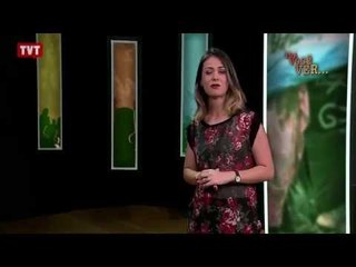 Pra Você Ver: Moradia -  3/3