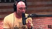 Joe Rogan - Joey Diaz Goes Off on Using Offensive Words