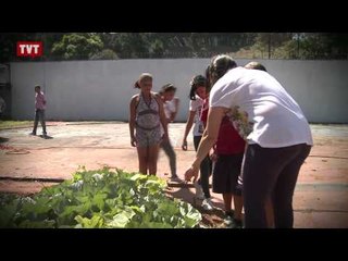Crianças aprendem a importância da plantação de alimentos